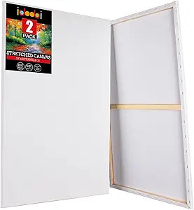 Stretched Canvases for Painting 2 Pack 24x36 for Artists