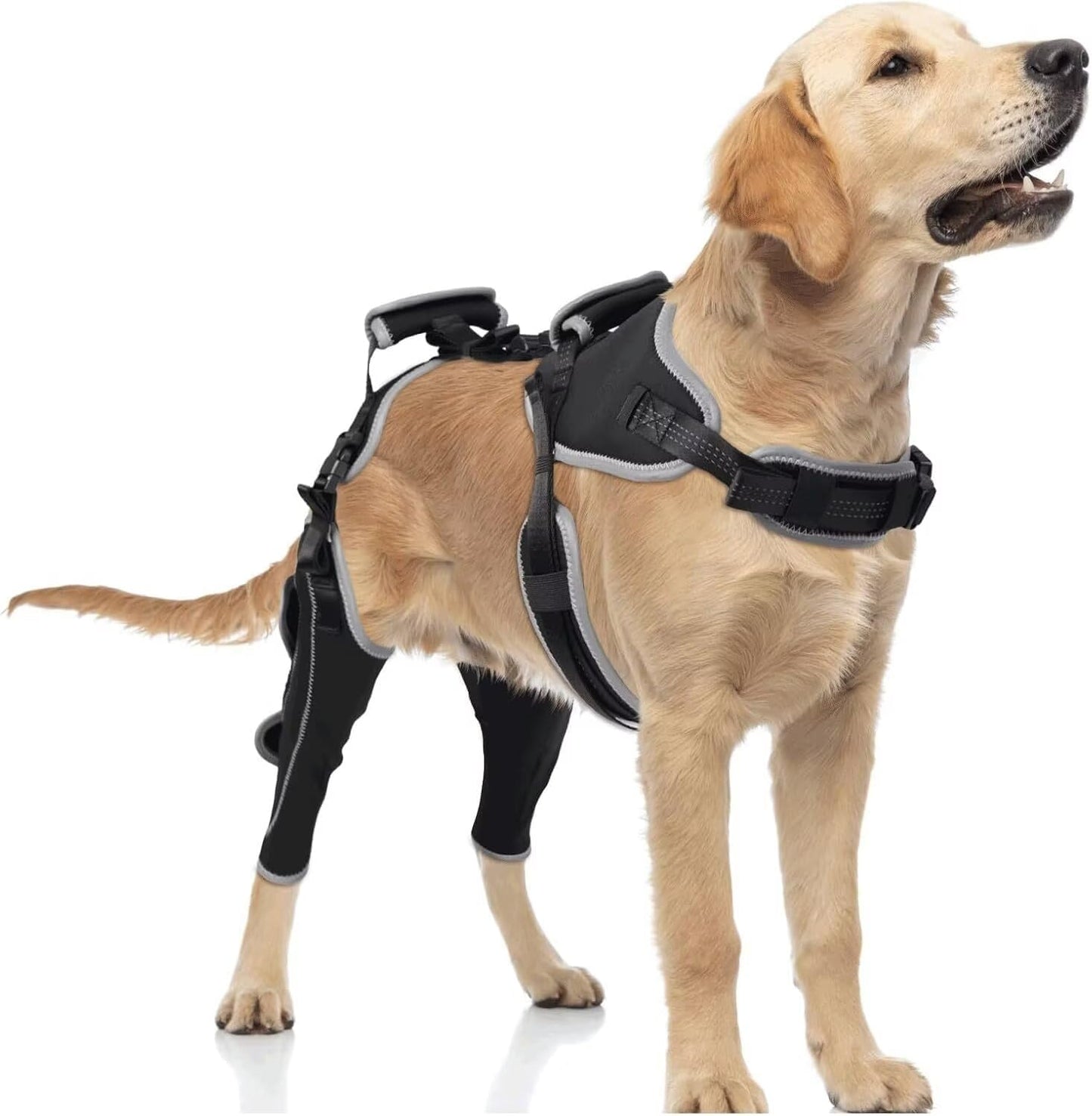 Dog Knee Brace for ACL/CCL Injuries - Pain Relief & Support