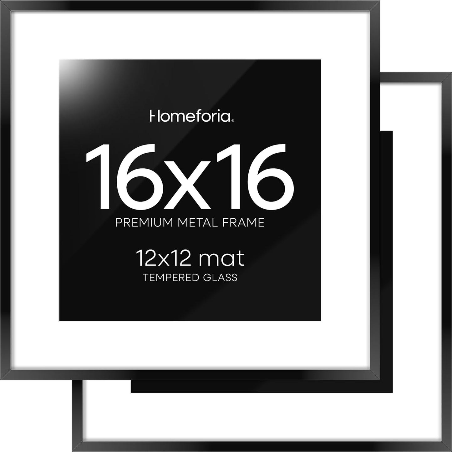 16x16 Black Picture Frame Set of 2 with Mat for 12x12 Prints