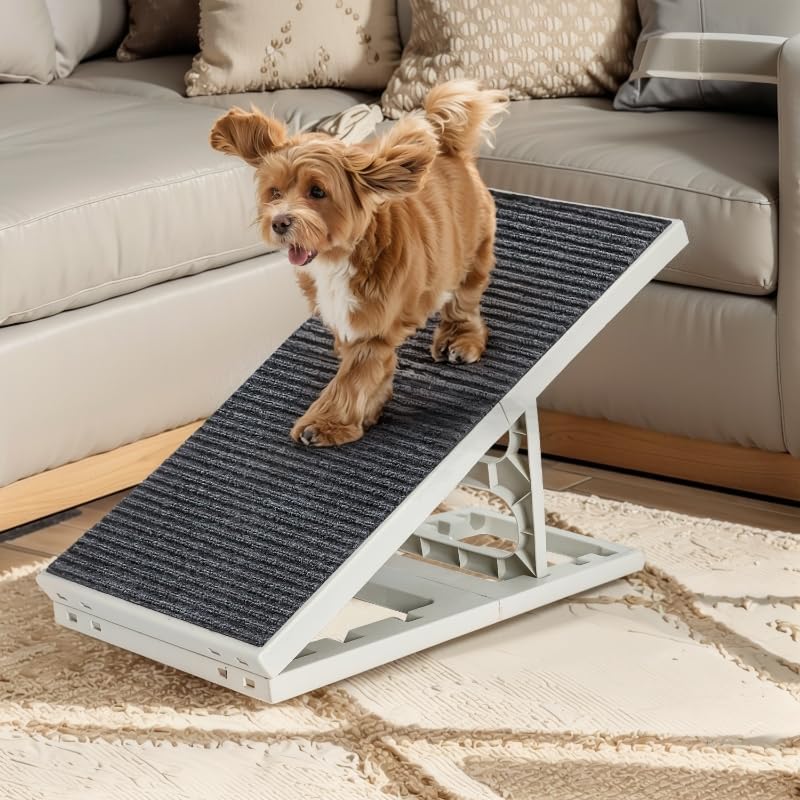 2 in 1 Dog Ramp for Small Medium Pets - Adjustable and Portable