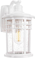 Darkaway Large Outdoor Porch Lights Wall Sconce - Durable Seeded Glass