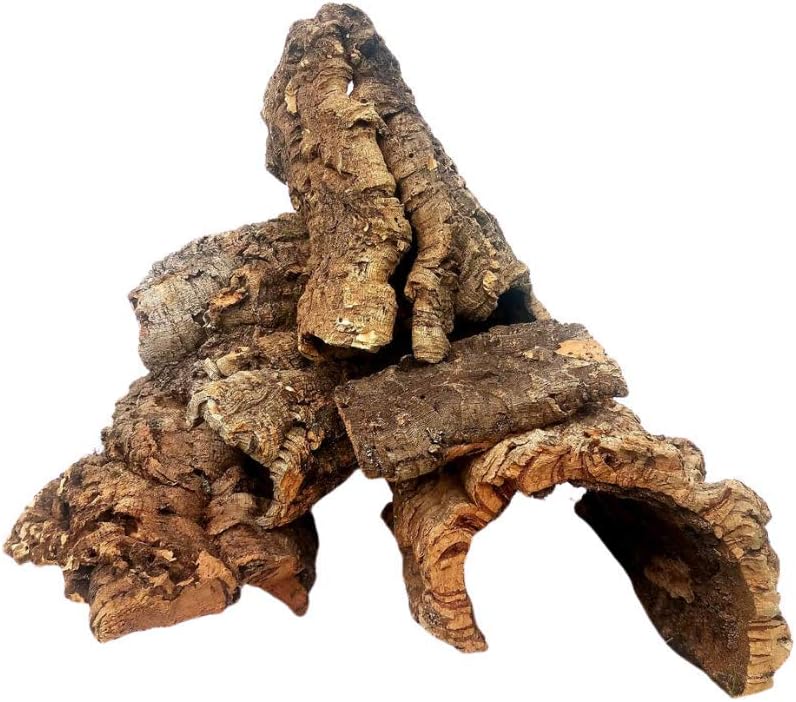 Cork Bark for Orchids, Airplants, Reptiles, and Terrariums