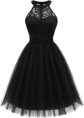 Women's Short Halter Lace Tulle Cocktail Dress - A-line Prom Fit