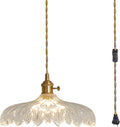 Plug in Pendant Light Clear Glass Shade Hanging Light - Elegant