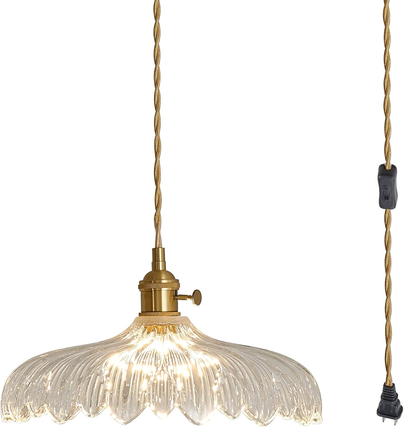 Plug in Pendant Light with Clear Glass Shade for Any Room