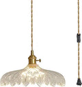 Oyisen Plug in Pendant Light Clear Glass Shade - Farmhouse Industrial