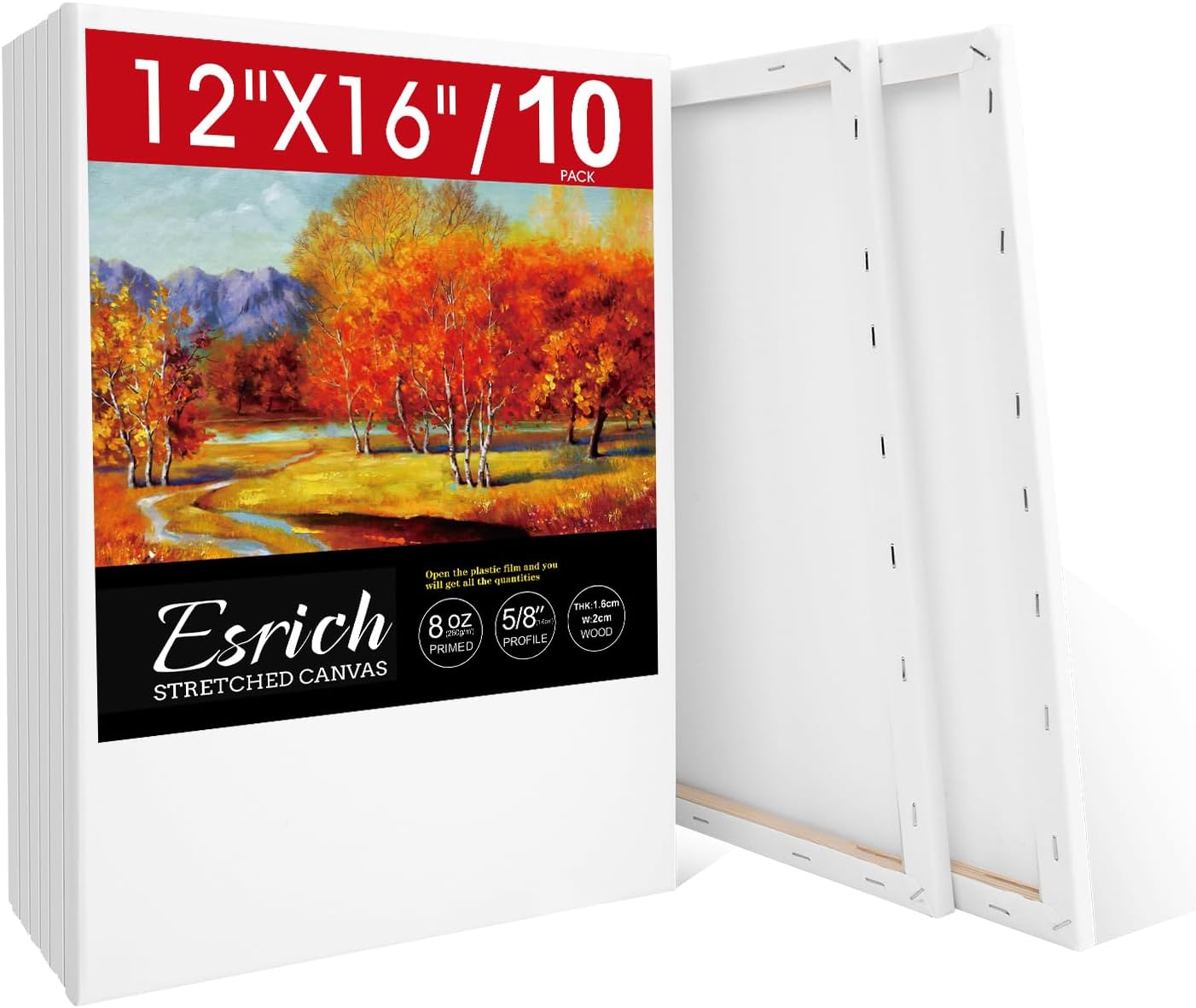ESRICH Stretched Canvas for Painting 12x16 Inch - 10 Pack
