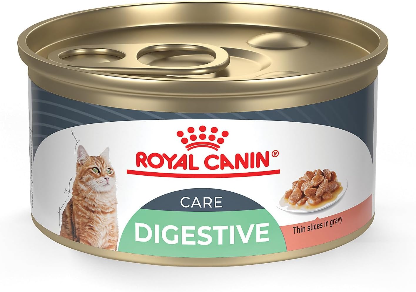 Royal Canin Feline Care Nutrition Digestive Care Cat Food 24 Pack
