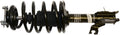 Front Left Strut Assembly for 02-06 Nissan Sentra - ReadyMount