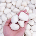 15 lbs White Rocks for Plants Indoor - Polished 1-2 in River Stones
