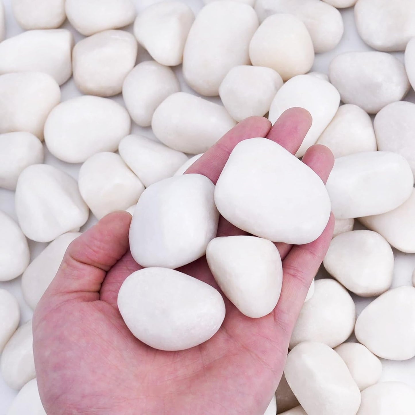 15 lbs White Rocks for Plants Indoor and Outdoor Landscaping