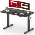 Standing Desk Height Adjustable Electric 48x24 in - Quiet Motor