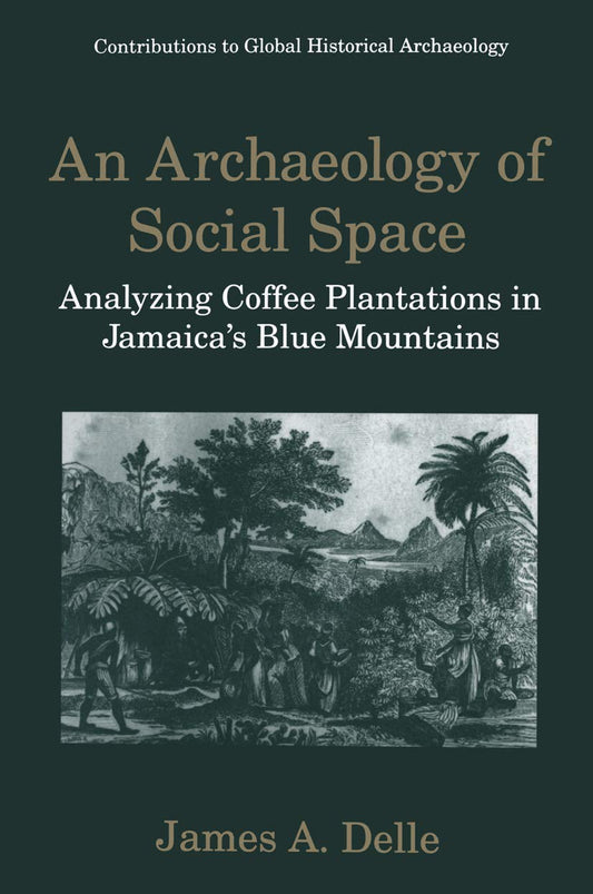 An Archaeology of Social Space by Delle and Leone Review