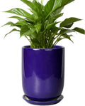 Ceramic Plant Pot - 8 Inch Indoor Outdoor Flower Pot with Saucer