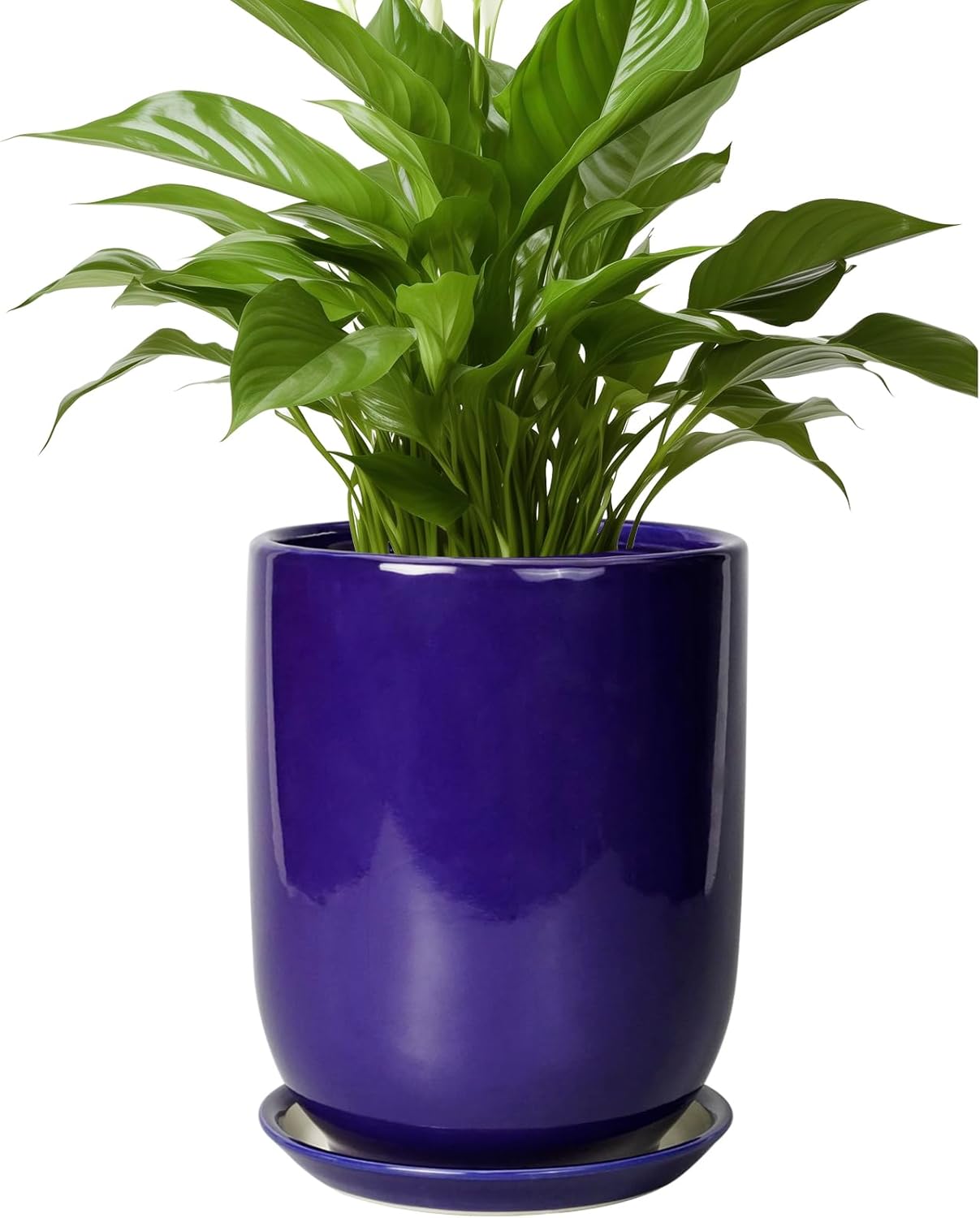 Ceramic Plant Pot - 8 Inch Indoor Outdoor Flower Pot with Saucer