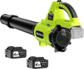 Leaf Blower Cordless 20V with 2 x 4.0Ah Batteries - Powerful 650 CFM