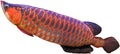 15.7in Fish Stuffed Animal Realistic Fish Plush Cute Toy Gifts