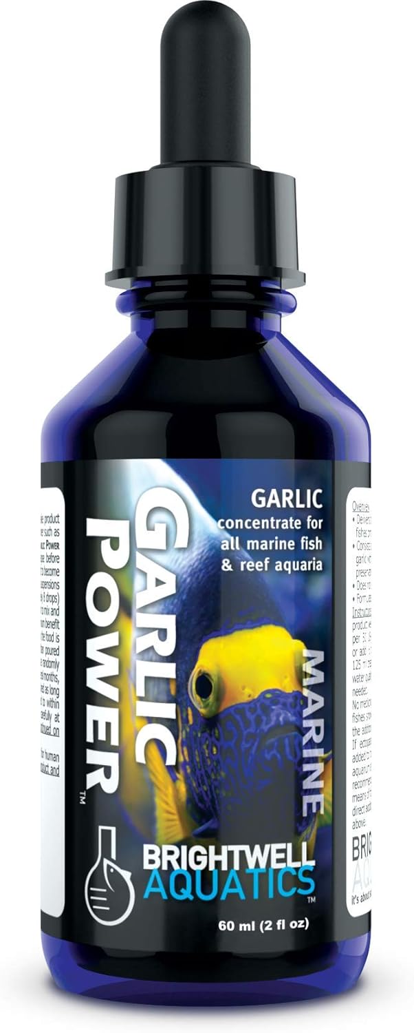Brightwell Aquatics GarlicPower Enhances Feeding Response for Fish