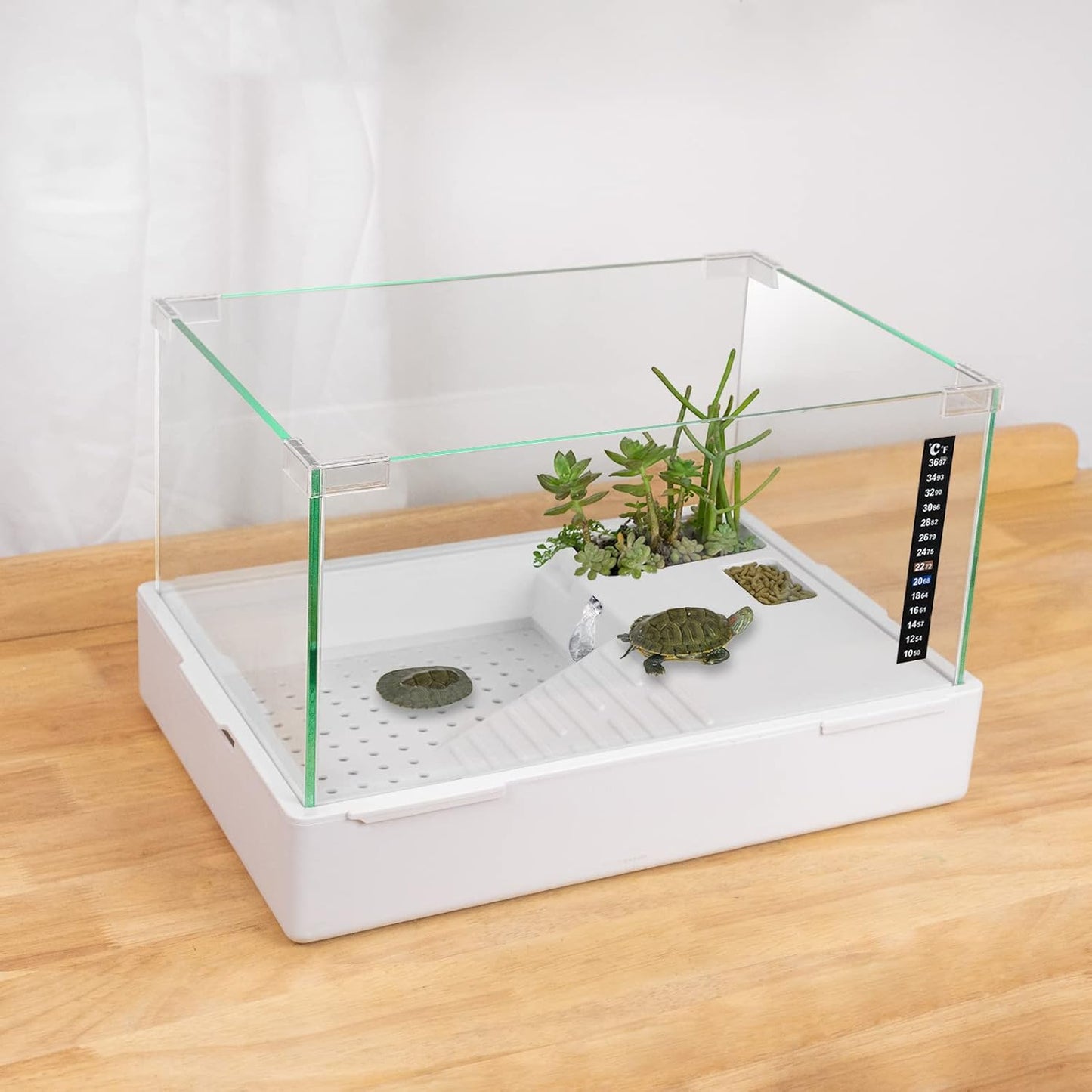 BETAZOOER Turtle Tank with Adjustable Water Pump Filter for Turtles