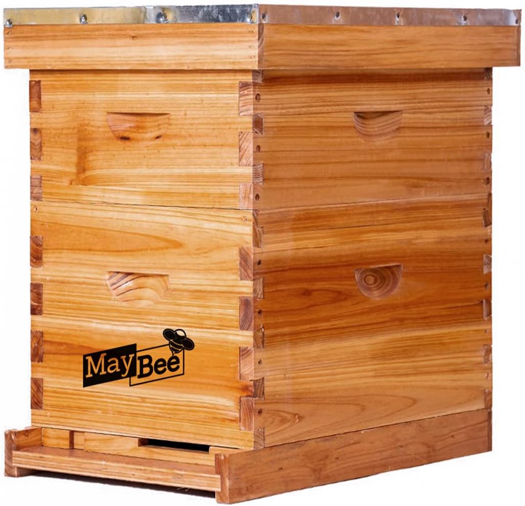 Beehive 8 Frame Bee Hives Starter Kit for Beginners and Experts