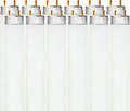 LUXRITE 24in T8 17W Fluorescent Tube Bulb 4100K - Reliable Cool White