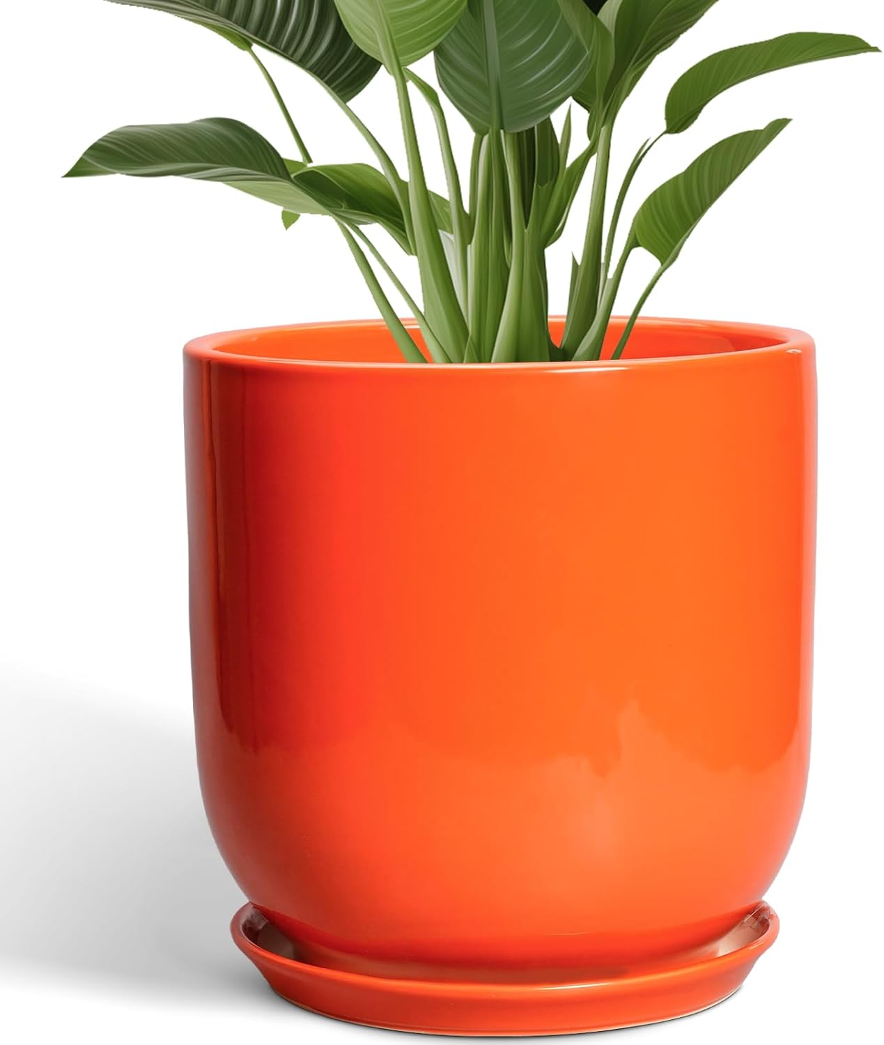 12 Inch Pots for Plants - Decorative Ceramic Planter with Saucer