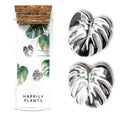 Tiny Silver White Gold Monstera Deliciosa Stud Earring Gift Set