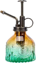 Ebristar Glass Plant Spritzer - Stylish Succulent Watering