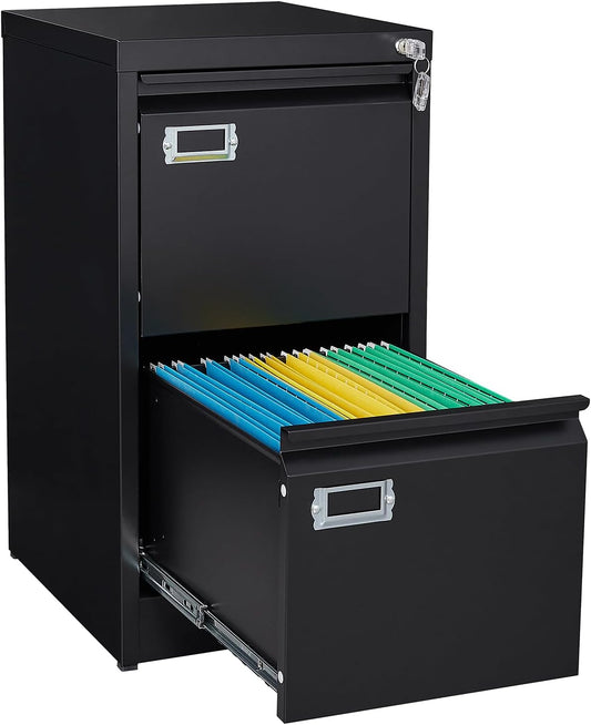 SISESOL 2 Drawer File Cabinet with Lock for Home Office Use
