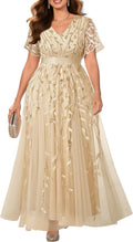 Plus Size Formal Tulle Evening Gown - Sequin Embroidery V-Neck