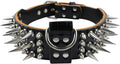 PET ARTIST 2 in Wide Luxury Sharp Spiked Dog Collar - Tough Neck
