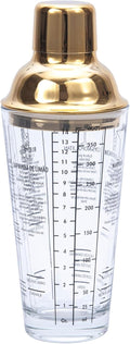 Gold Martini Shaker with Recipe Guide - 13.5oz