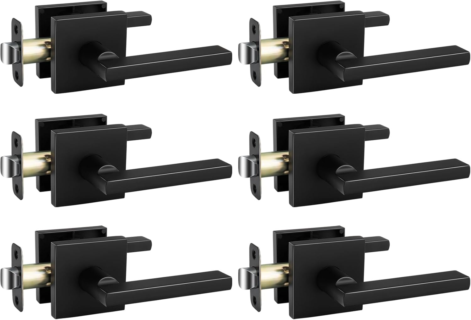 Goldenwarm Matte Black Passage Door Handles for Modern Spaces