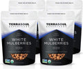 Organic Sun-dried White Mulberries 4 lb pack - Sweet, Low-Sugar Snack