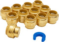 SUNGATOR 12-Pack 3/4-in Push Fit End Cap - Fast, Lead Free Plumbing