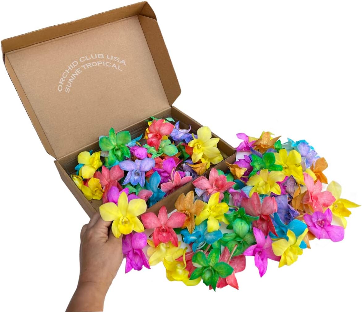 Miami Fresh Orchid Loose Bloom for DIY Lei and Decorations