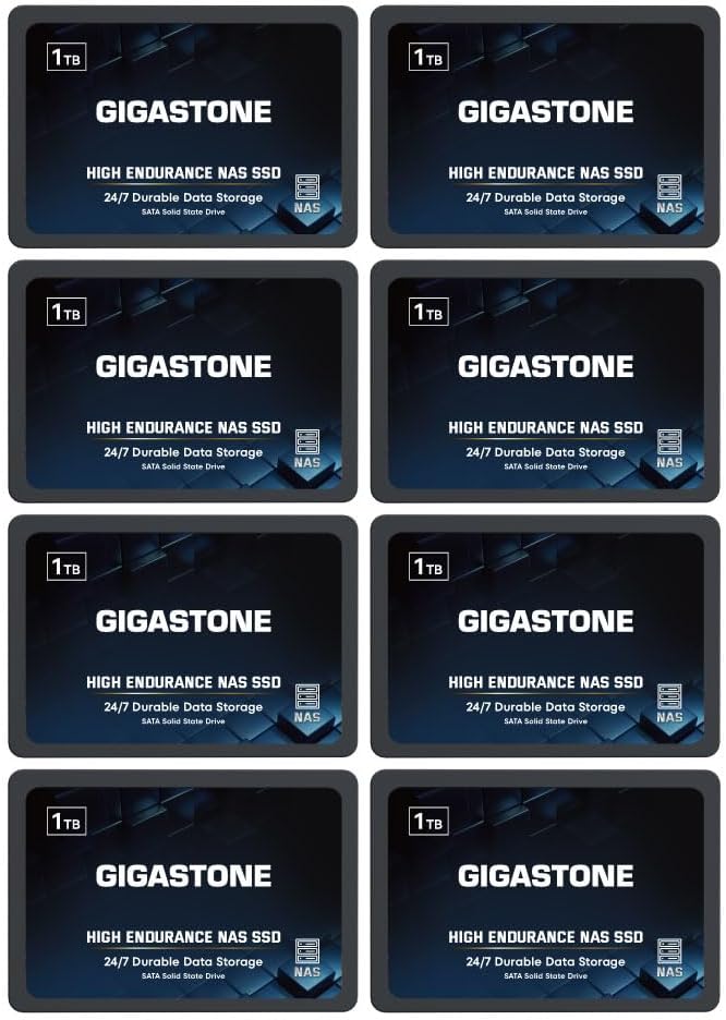 Gigastone 1TB NAS SSD Drive for High Endurance Data Storage