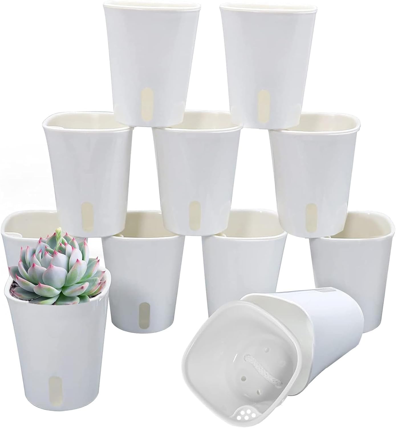 3 Self Watering Pots for Indoor Plants with Water Level Indicator
