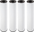 Pentair Pentek RFFE20-BB Big Blue Water Filter - Iron Reduction Pack