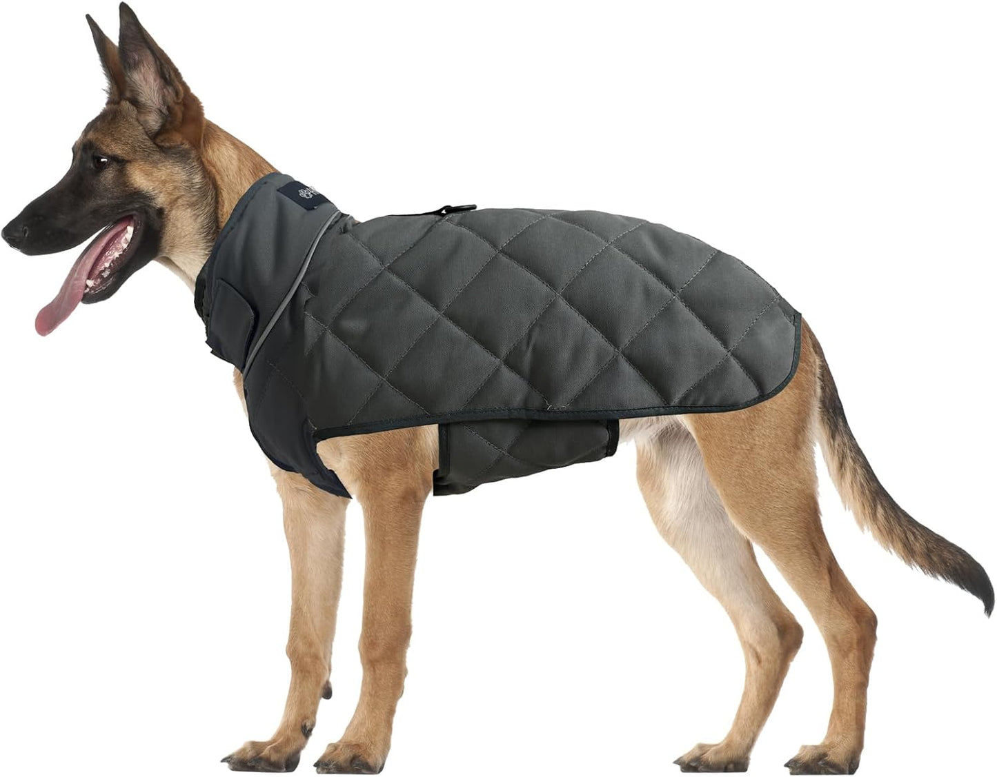 Weighted Dog Vest for Anxiety Relief and Muscle Building