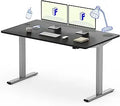 FLEXISPOT EC1 Electric Stand Up Desk 55x28 in - Smooth Height