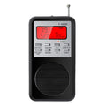 Spirit Communication Box - Real-Time EVP Recorder Scanner - Frequency