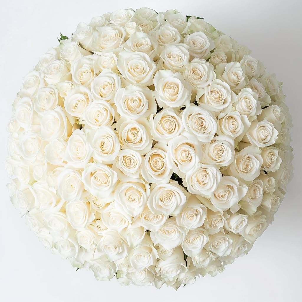 200 White Roses Bouquet - Fresh Farm Flowers for Any Occasion