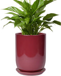 Ceramic Pot for Plants - 8 Inch Indoor Flower Pot with Saucer