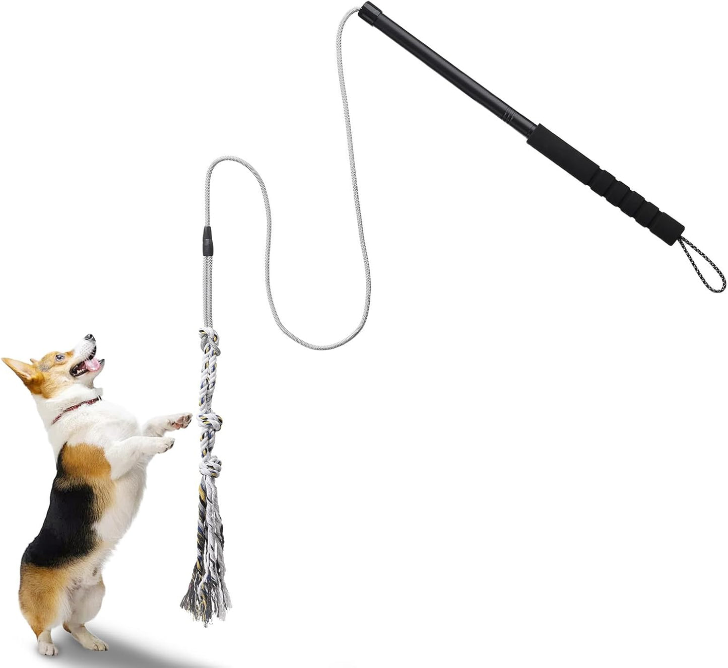 Durable Outdoor Dog Teaser Wand - Gingull