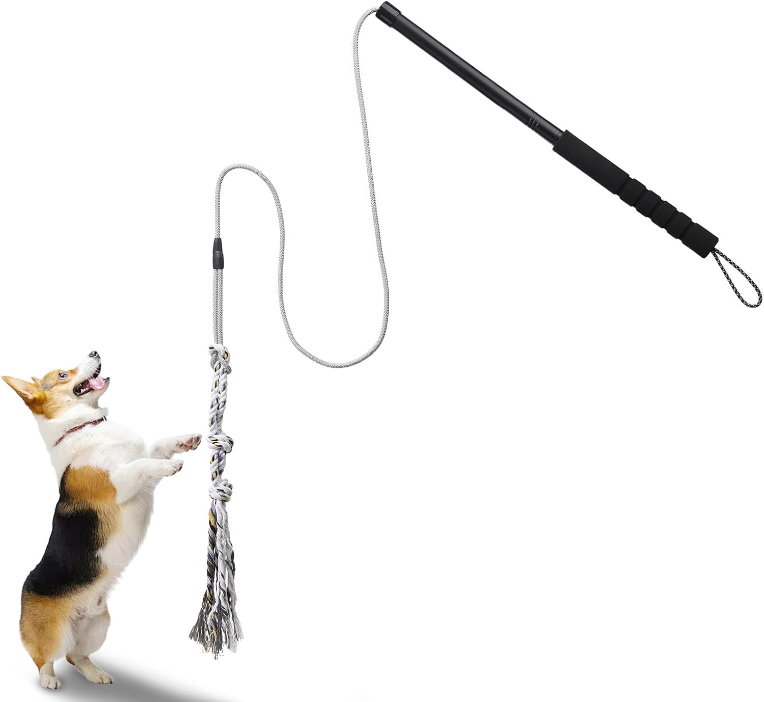 Durable Outdoor Dog Teaser Wand - Gingull