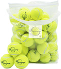 Magicorange Tennis Balls 60 Pack Advanced Training Practice Balls
