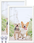 13x19 Picture Frame Set of 2 White - Lightweight Gallery Frames