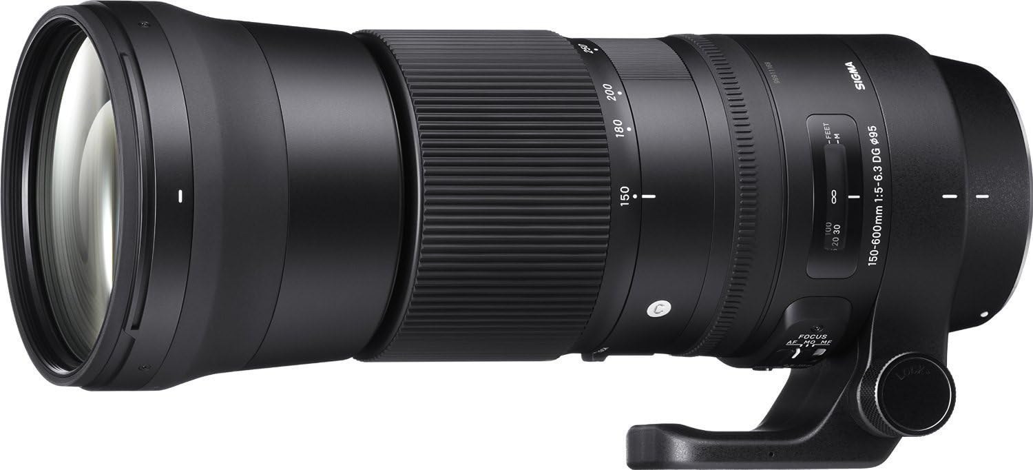 Sigma 150-600mm f/5-6.3 DG HSM OS Contemporary Lens Review