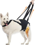 Dog Sling for Large Dogs with Hind Leg Support and Comfort